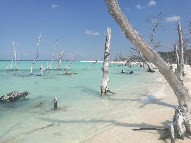 Cayo Levisa